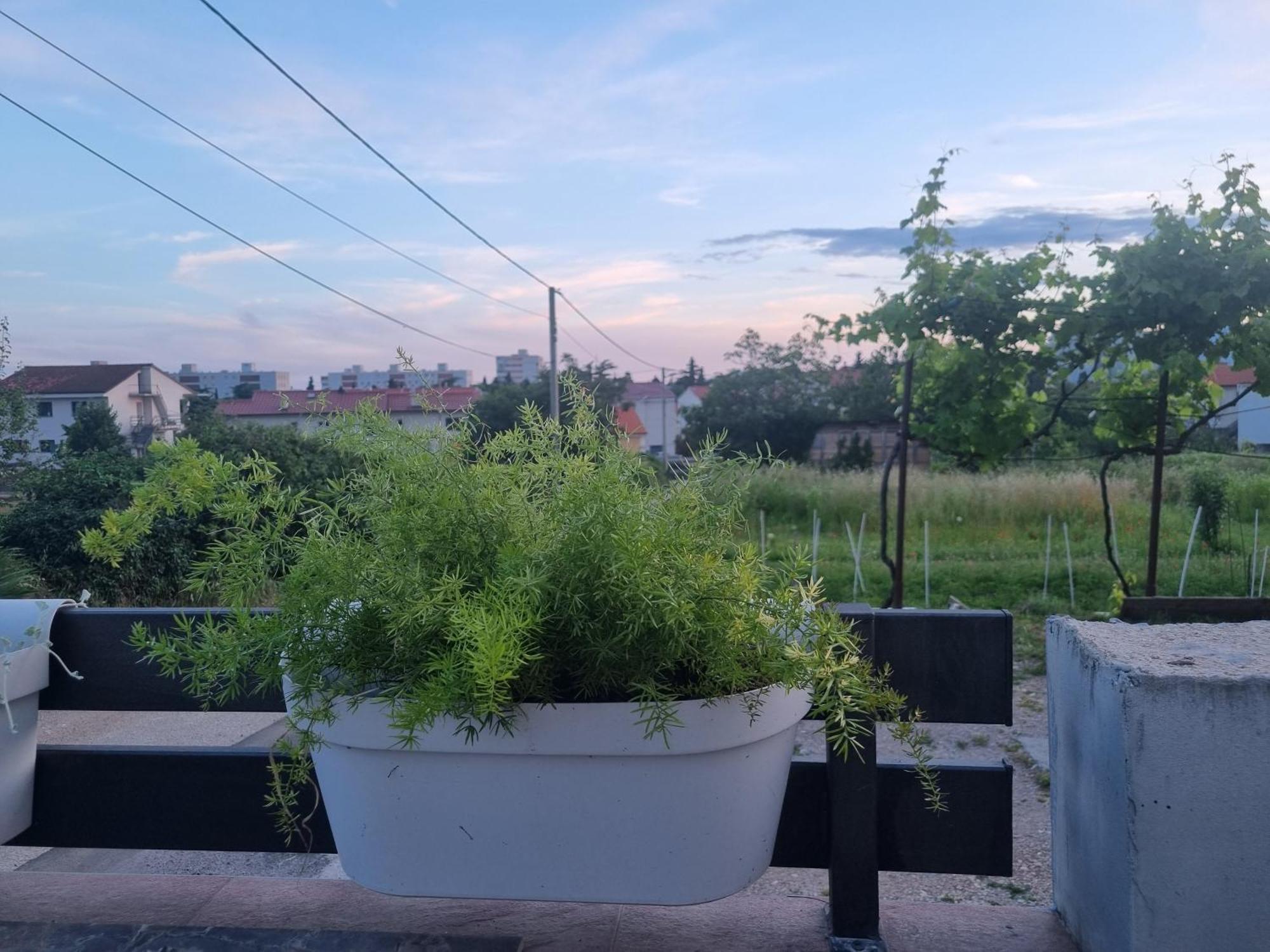 Apartman Dasa Rijeka Exterior photo